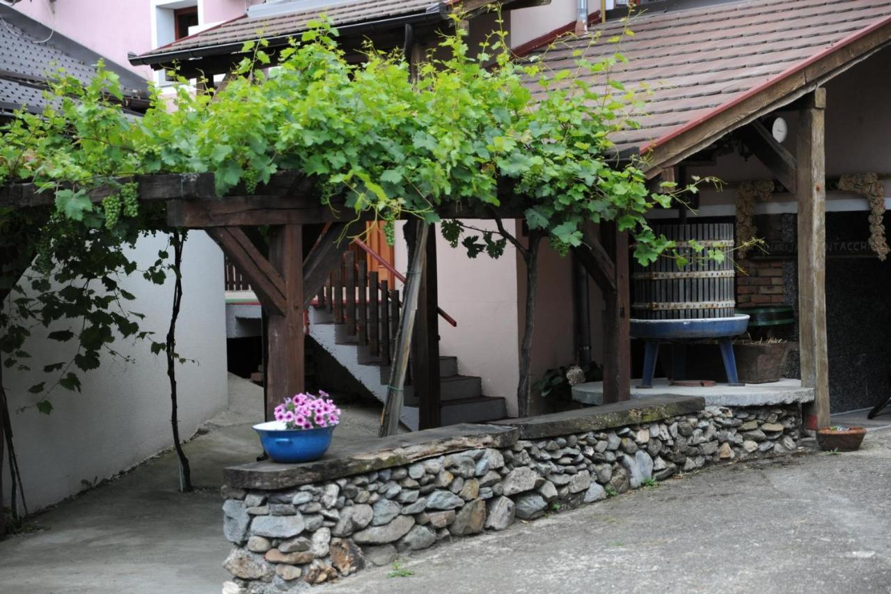 Wellness B&B Winery Sontacchi Kutjevo Zewnętrze zdjęcie